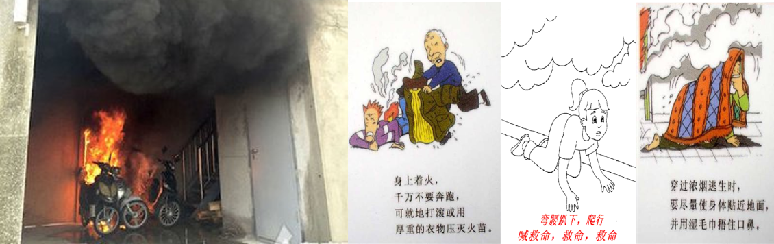 公司网页30.png